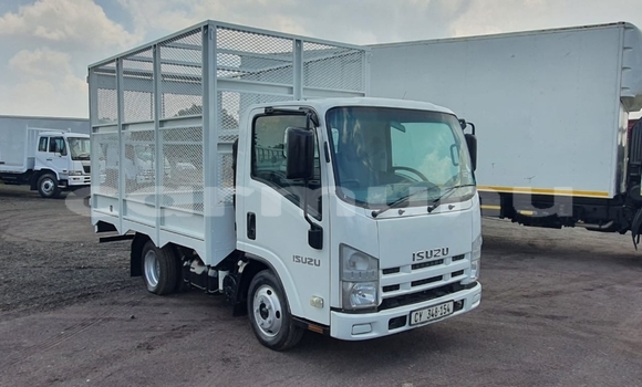 Buy Used Isuzu FTR 850 White Truck in Kinkala in pool Buy Used Isuzu FTR 850 White Truck in Kinkala in pool