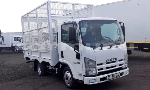 Buy Used Isuzu FTR 850 White Truck in Kinkala in pool Buy Used Isuzu FTR 850 White Truck in Kinkala in pool