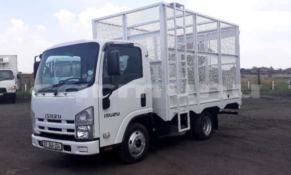 Buy Used Isuzu FTR 850 White Truck in Kinkala in pool Buy Used Isuzu FTR 850 White Truck in Kinkala in pool
