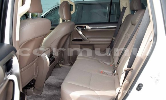 Buy Import Lexus GX White Car in Import - Dubai in Region of Bouenza Buy Import Lexus GX White Car in Import - Dubai in Region of Bouenza
