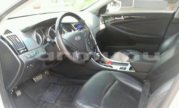 Buy Used Hyundai Sonata White Car in Brazzaville in Municipality of Brazzaville Buy Used Hyundai Sonata White Car in Brazzaville in Municipality of Brazzaville