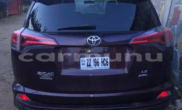 Buy Used Toyota RAV4 Other Car in Djambala in uplands Buy Used Toyota RAV4 Other Car in Djambala in uplands