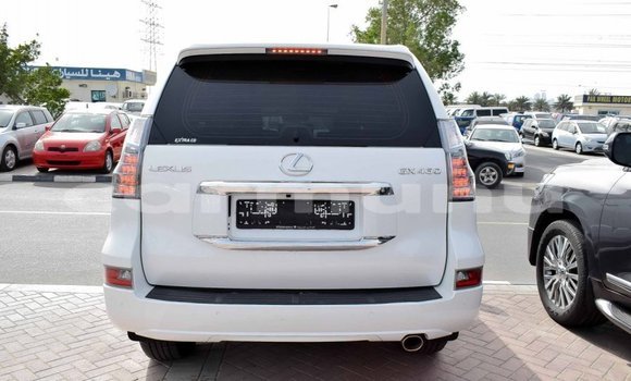 Buy Import Lexus GX White Car in Import - Dubai in Region of Bouenza Buy Import Lexus GX White Car in Import - Dubai in Region of Bouenza