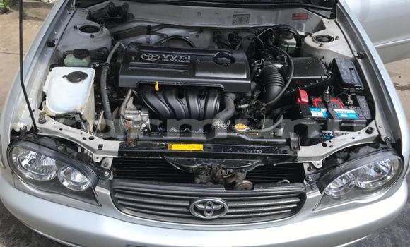 Acheter Occasion Voiture Toyota Corolla Gris à Pointe–Noire, Région du Kouilou Acheter Occasion Voiture Toyota Corolla Gris à Pointe–Noire, Région du Kouilou