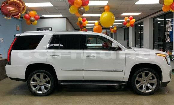 Buy Used Cadillac Escalade Other Car in Brazzaville in Municipality of Brazzaville Buy Used Cadillac Escalade Other Car in Brazzaville in Municipality of Brazzaville