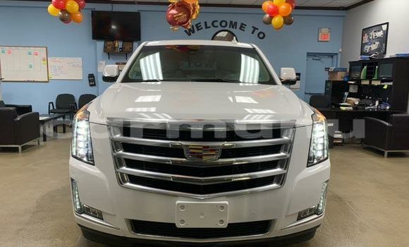 Buy Used Cadillac Escalade Other Car in Brazzaville in Municipality of Brazzaville Buy Used Cadillac Escalade Other Car in Brazzaville in Municipality of Brazzaville