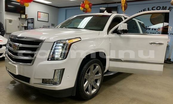 Buy Used Cadillac Escalade Other Car in Brazzaville in Municipality of Brazzaville Buy Used Cadillac Escalade Other Car in Brazzaville in Municipality of Brazzaville