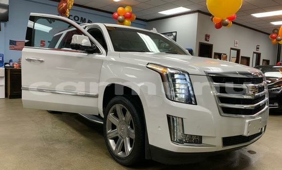 Buy Used Cadillac Escalade Other Car in Brazzaville in Municipality of Brazzaville Buy Used Cadillac Escalade Other Car in Brazzaville in Municipality of Brazzaville