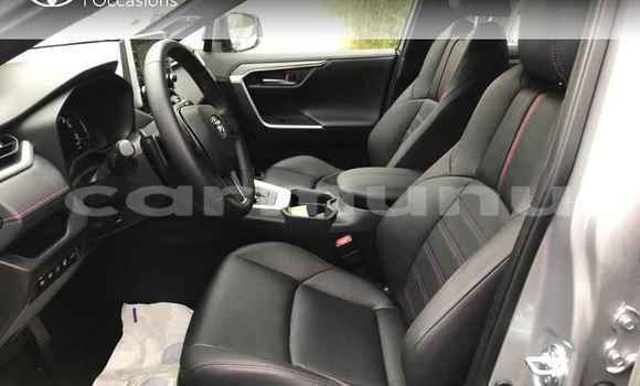Buy Used Toyota RAV4 Silver Car in Brazzaville in Municipality of Brazzaville Buy Used Toyota RAV4 Silver Car in Brazzaville in Municipality of Brazzaville