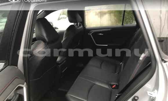Buy Used Toyota RAV4 Silver Car in Brazzaville in Municipality of Brazzaville Buy Used Toyota RAV4 Silver Car in Brazzaville in Municipality of Brazzaville