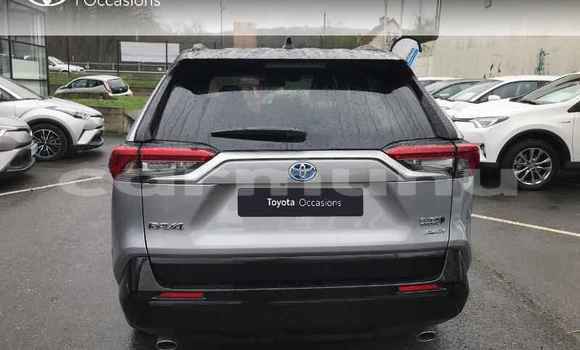 Buy Used Toyota RAV4 Silver Car in Brazzaville in Municipality of Brazzaville Buy Used Toyota RAV4 Silver Car in Brazzaville in Municipality of Brazzaville