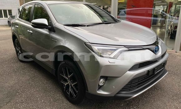 Buy Used Toyota RAV4 Silver Car in Brazzaville in Municipality of Brazzaville Buy Used Toyota RAV4 Silver Car in Brazzaville in Municipality of Brazzaville