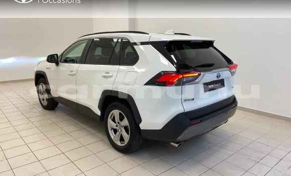Buy Used Toyota RAV4 White Car in Brazzaville in Municipality of Brazzaville Buy Used Toyota RAV4 White Car in Brazzaville in Municipality of Brazzaville