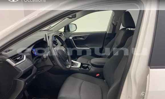 Buy Used Toyota RAV4 White Car in Brazzaville in Municipality of Brazzaville Buy Used Toyota RAV4 White Car in Brazzaville in Municipality of Brazzaville