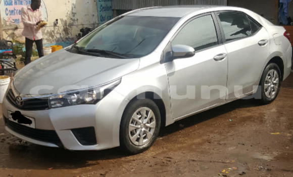 Acheter Occasion Voiture Toyota Corolla Gris à Brazzaville, Commune de Brazzaville Acheter Occasion Voiture Toyota Corolla Gris à Brazzaville, Commune de Brazzaville