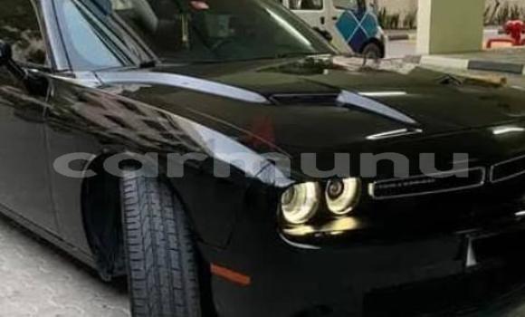 Acheter Occasion Voiture Dodge Challenger Noir à Pointe–Noire, Région du Kouilou Acheter Occasion Voiture Dodge Challenger Noir à Pointe–Noire, Région du Kouilou