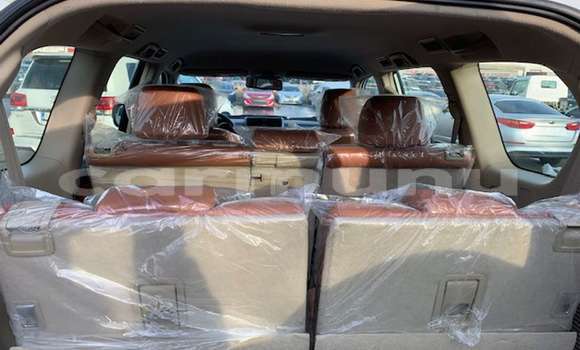 Buy Import Toyota Land Cruiser Prado White Car in Black Point in Kouilou region Buy Import Toyota Land Cruiser Prado White Car in Black Point in Kouilou region