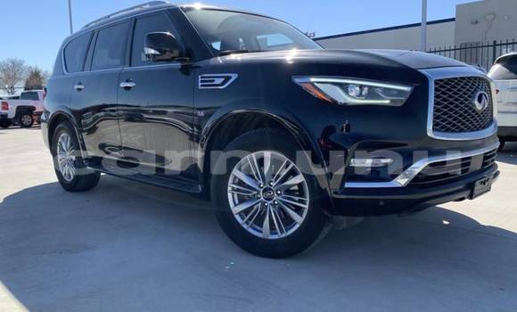 Buy Import Infiniti QX80 Black Car in Brazzaville in Municipality of Brazzaville Buy Import Infiniti QX80 Black Car in Brazzaville in Municipality of Brazzaville