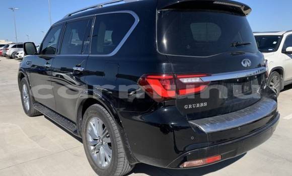 Buy Import Infiniti QX80 Black Car in Brazzaville in Municipality of Brazzaville Buy Import Infiniti QX80 Black Car in Brazzaville in Municipality of Brazzaville