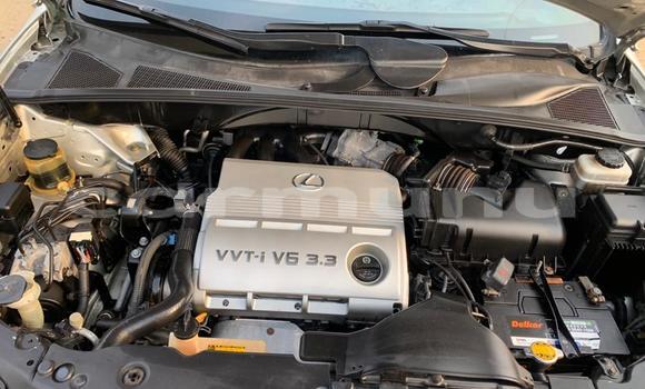 Acheter Occasion Voiture Lexus RX 330 Gris à Pointe–Noire, Région du Kouilou Acheter Occasion Voiture Lexus RX 330 Gris à Pointe–Noire, Région du Kouilou