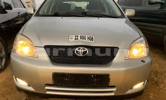 Acheter Occasion Voiture Toyota Corolla Gris à Pointe–Noire, Région du Kouilou Acheter Occasion Voiture Toyota Corolla Gris à Pointe–Noire, Région du Kouilou