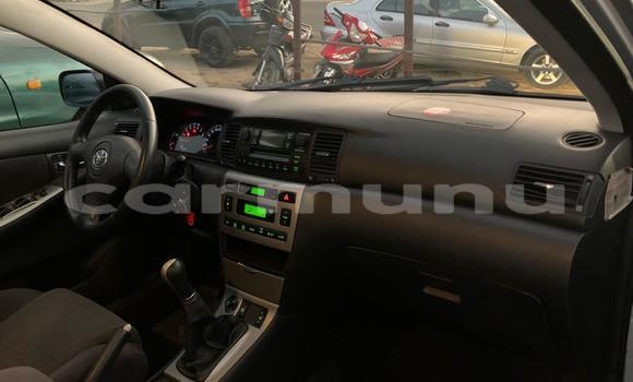 Acheter Occasion Voiture Toyota Corolla Gris à Pointe–Noire, Région du Kouilou Acheter Occasion Voiture Toyota Corolla Gris à Pointe–Noire, Région du Kouilou