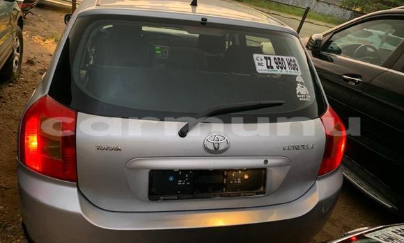 Acheter Occasion Voiture Toyota Corolla Gris à Pointe–Noire, Région du Kouilou Acheter Occasion Voiture Toyota Corolla Gris à Pointe–Noire, Région du Kouilou