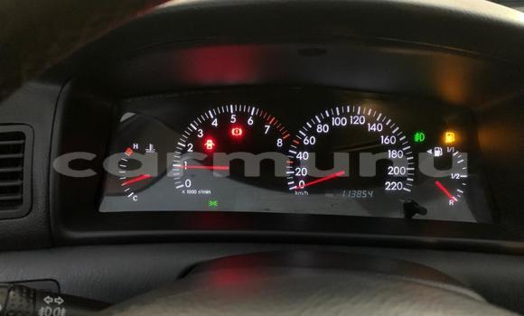 Acheter Occasion Voiture Toyota Corolla Gris à Pointe–Noire, Région du Kouilou Acheter Occasion Voiture Toyota Corolla Gris à Pointe–Noire, Région du Kouilou