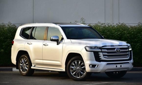 Buy New Toyota Land Cruiser White Car in Import - Dubai in Region of Bouenza Buy New Toyota Land Cruiser White Car in Import - Dubai in Region of Bouenza