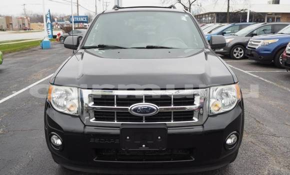 Buy Import Ford Escape Black Car in Brazzaville in Municipality of Brazzaville Buy Import Ford Escape Black Car in Brazzaville in Municipality of Brazzaville