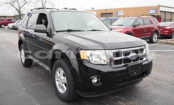 Buy Import Ford Escape Black Car in Brazzaville in Municipality of Brazzaville Buy Import Ford Escape Black Car in Brazzaville in Municipality of Brazzaville