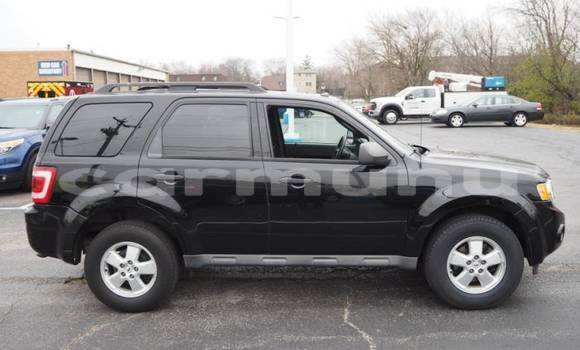 Buy Import Ford Escape Black Car in Brazzaville in Municipality of Brazzaville Buy Import Ford Escape Black Car in Brazzaville in Municipality of Brazzaville