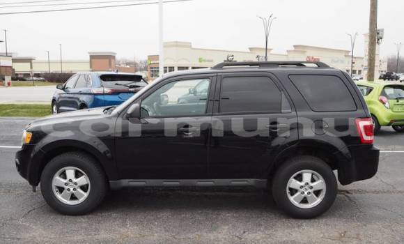 Buy Import Ford Escape Black Car in Brazzaville in Municipality of Brazzaville Buy Import Ford Escape Black Car in Brazzaville in Municipality of Brazzaville