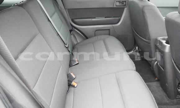 Buy Import Ford Escape Black Car in Brazzaville in Municipality of Brazzaville Buy Import Ford Escape Black Car in Brazzaville in Municipality of Brazzaville