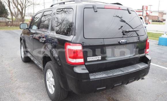 Buy Import Ford Escape Black Car in Brazzaville in Municipality of Brazzaville Buy Import Ford Escape Black Car in Brazzaville in Municipality of Brazzaville
