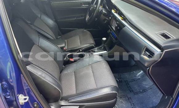 Buy Import Toyota Corolla Blue Car in Black Point in Kouilou region Buy Import Toyota Corolla Blue Car in Black Point in Kouilou region
