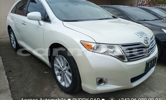 Buy Import Toyota Venza Silver Car in Brazzaville in Municipality of Brazzaville