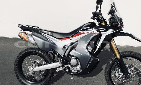 Buy Used Honda CRF250X Black Bike in Black Point in Kouilou region Buy Used Honda CRF250X Black Bike in Black Point in Kouilou region