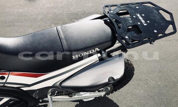 Buy Used Honda CRF250X Black Bike in Black Point in Kouilou region Buy Used Honda CRF250X Black Bike in Black Point in Kouilou region