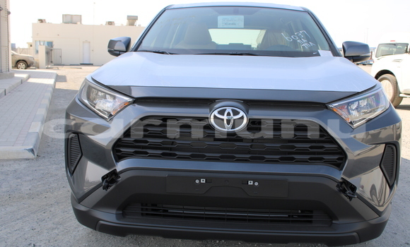 Acheter Neuf Voiture Toyota RAV4 Gris à Import - Dubai, Région de la Bouenza
