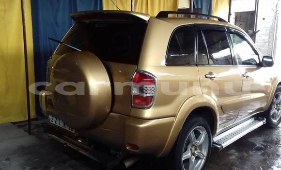 Buy Used Toyota RAV4 Brown Car in Brazzaville in Municipality of Brazzaville Buy Used Toyota RAV4 Brown Car in Brazzaville in Municipality of Brazzaville