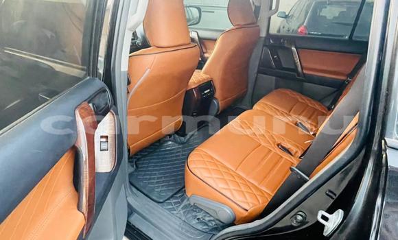 Acheter Import Voiture Toyota Land Cruiser Prado Noir à Import - Dubai, Région de la Bouenza Acheter Import Voiture Toyota Land Cruiser Prado Noir à Import - Dubai, Région de la Bouenza