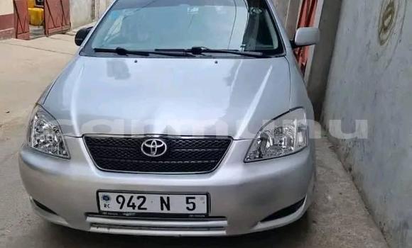 Acheter Occasion Voiture Toyota Corolla Gris à Brazzaville, Commune de Brazzaville Acheter Occasion Voiture Toyota Corolla Gris à Brazzaville, Commune de Brazzaville