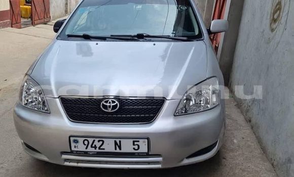 Acheter Occasion Voiture Toyota Corolla Gris à Pointe–Noire, Région du Kouilou Acheter Occasion Voiture Toyota Corolla Gris à Pointe–Noire, Région du Kouilou