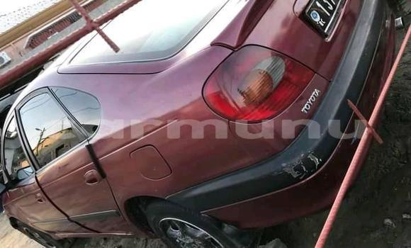 Acheter Occasion Voiture Toyota Avensis Rouge à Pointe–Noire, Région du Kouilou Acheter Occasion Voiture Toyota Avensis Rouge à Pointe–Noire, Région du Kouilou