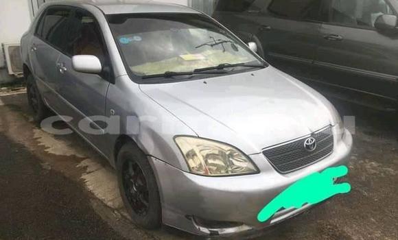 Acheter Occasion Voiture Toyota Corolla Gris à Pointe–Noire, Région du Kouilou Acheter Occasion Voiture Toyota Corolla Gris à Pointe–Noire, Région du Kouilou
