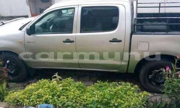 Acheter Occasion Voiture Toyota Hilux Gris à Pointe–Noire, Région du Kouilou Acheter Occasion Voiture Toyota Hilux Gris à Pointe–Noire, Région du Kouilou