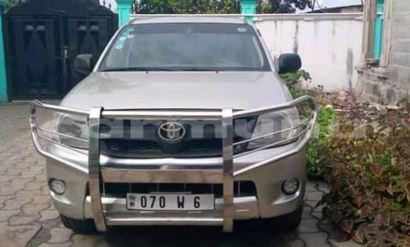 Acheter Occasion Voiture Toyota Hilux Gris à Pointe–Noire, Région du Kouilou Acheter Occasion Voiture Toyota Hilux Gris à Pointe–Noire, Région du Kouilou