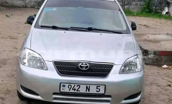 Acheter Occasion Voiture Toyota Corolla Gris à Pointe–Noire, Région du Kouilou Acheter Occasion Voiture Toyota Corolla Gris à Pointe–Noire, Région du Kouilou