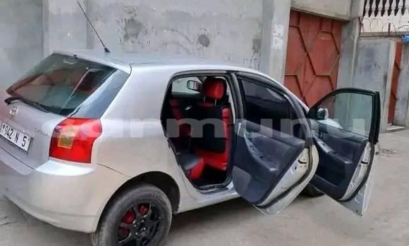 Acheter Occasion Voiture Toyota Corolla Gris à Pointe–Noire, Région du Kouilou Acheter Occasion Voiture Toyota Corolla Gris à Pointe–Noire, Région du Kouilou